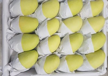 Progress updated on fresh mango exports to China